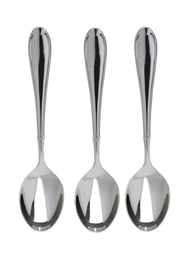 3- Piece Table Spoon Set Stainless Steel Silver